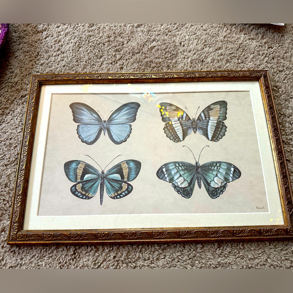 Framed Butterfly Wall Art